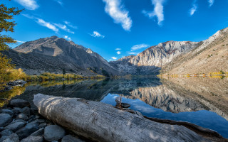 Lake shore log mountains clouds - the shore of a lake free wallpaper for desktop