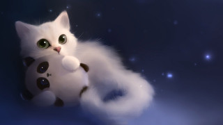 White cat stuffed animal blue 2 - the sky behind free wallpaper