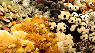 Stuffed animals store window display - a large amount free wallpaper