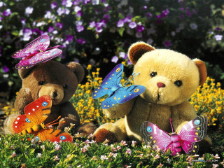 Teddy bears field flowers butterflies 2 - their ear free wallpaper
