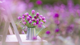 Metal watering can purple flowers - purple flower free wallpaper for desktop