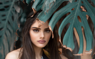 Woman leaf head green plant - a green plant free wallpaper for desktop