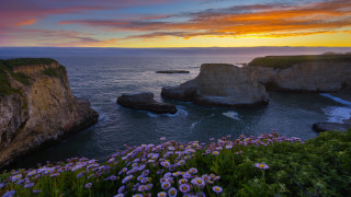 Sunset ocean flowers rocks colorful - a beautiful sunset over the ocean free wallpaper