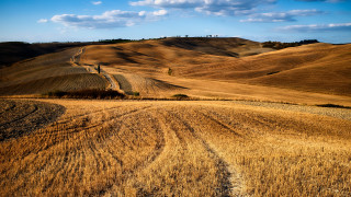 Field dirt road hill trees - a dirt road in the middle of it free wallpaper