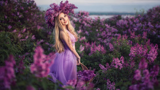 Purple dress flower field magic - anka zhuravleva free wallpaper