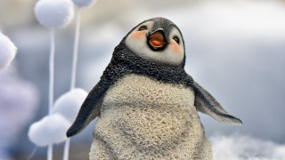 Penguin hat scarf snowballs ambient - a penguin free wallpaper