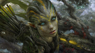 Woman tree bird blue eyes - the gathering artwork free wallpaper