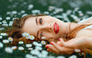 Daisy field woman lying blurry - a field of daisies free wallpaper