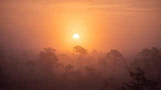 Sunset forest mountains moon hazy - hazy free wallpaper