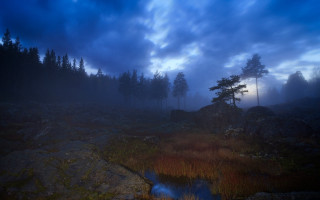 Foggy forest pond mountain cloudy - a foggy forest free wallpaper