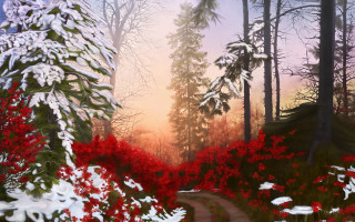Forest path red flowers snowy - the foreground and a snow free wallpaper
