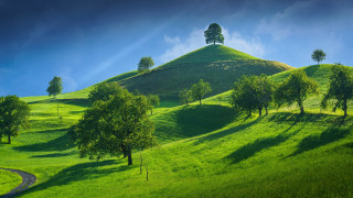 Green hill winding road trees - land art free wallpaper