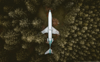 White airplane flying over forest - liminal free wallpaper