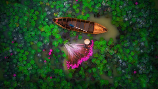 Boat green field flower forest - a lush green field next free wallpaper