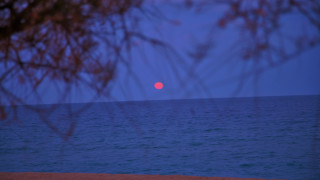 Red ball ocean night moon - a red ball free wallpaper
