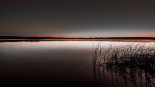 Lake reeds sunset clouds australian - the water and a sunset in the background free wallpaper