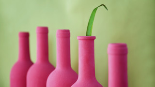 Green plant pink vases ecological - a green plant free wallpaper for desktop
