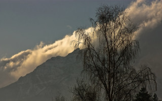 Mountain mist cloud trees sunset - a few tree free wallpaper for desktop