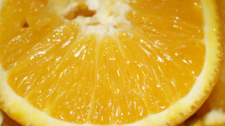 Orange slice water droplets macro - christopher williams free wallpaper for desktop