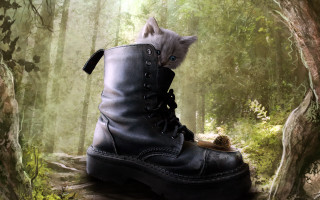 Kitten in boot forest sunlight - photorealistic imagery free wallpaper