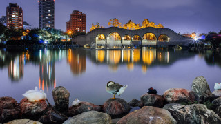 Bird rock lake bridge night - egyptian art free wallpaper