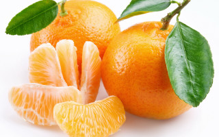 Orange couple sliced leaves white - a white surface free wallpaper