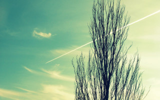Plane tree contrail sky sunset - blue sky free wallpaper for desktop