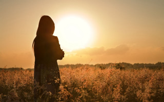 Woman field sunset backlighting cloud - cindy wright free wallpaper for desktop