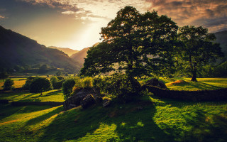 Tree field mountains sunset nature 2 - free landscape wallpaper