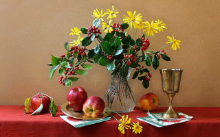 Flower fruit stilllife anne rigney - anne rigney free wallpaper for desktop