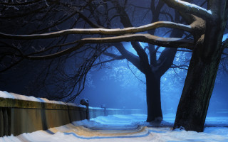 Snowy path park bench night - a bench and trees free wallpaper