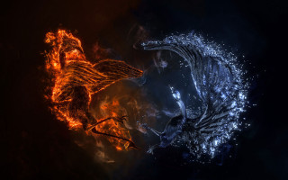 Fire ice dragon battle flame - bird free wallpaper for desktop