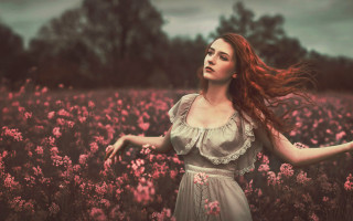 Woman flower field breeze cinematic - a woman in a field of flowers free wallpaper