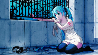 Blue haired girl sitting cat - the ground next free wallpaper