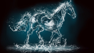Horse water blue black white 2 - a horse free wallpaper for desktop