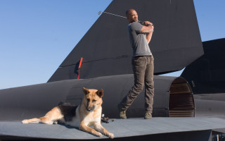 Golf dog boat deck aircraft - the background and a dog free wallpaper