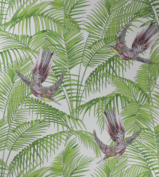 Bird palm leaves flying nature - side and a bird free wallpaper