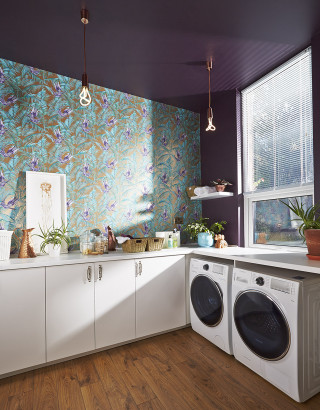Kitchen washer dryer window flower - vibrant free wallpaper for mobile
