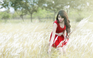 Red dress woman field butterfly - a butterfly free wallpaper for desktop
