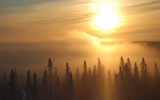 Sunshine clouds forest snow matte - volumetric light free wallpaper for desktop