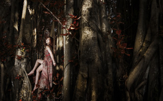 Woman dress sitting tree crossed - chen chun free wallpaper