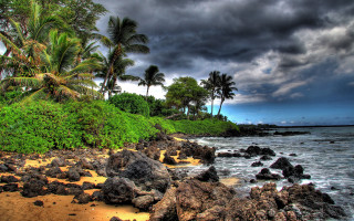 Beach rocks palm trees stormy - a dark sky above free wallpaper