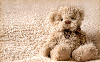Teddy bear white blanket brown - a teddy bear free wallpaper