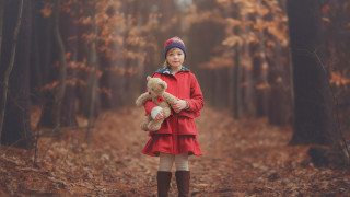 Little girl teddy bear forest - the ground and trees free wallpaper