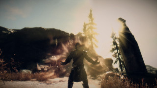 Man coat hat field trees - the background and a sun free wallpaper