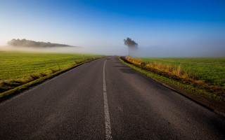 Road tree field fog landscape - the middle of a field free wallpaper for desktop