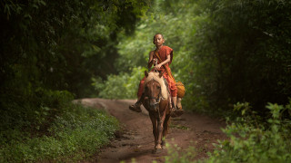 Young girl riding horse forest - eric deschamps free wallpaper for desktop