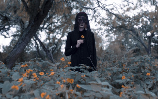 Man black mask flowers autumn - a field of flowers and trees free wallpaper