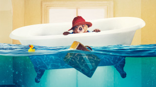 Dog hat bathtub rubberduck splash - a bathtub free wallpaper for desktop
