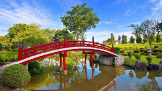 Red bridge pond autumn east - a green field and trees free wallpaper